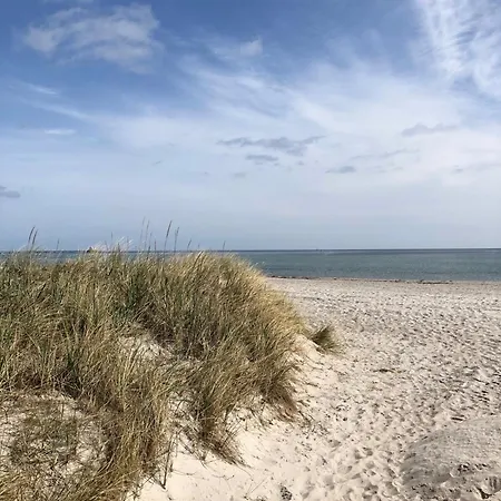 Hamptons