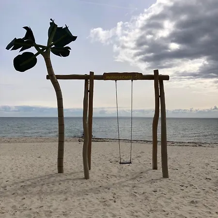Hamptons *